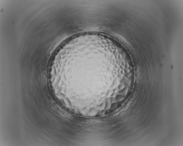 X0000072511212200608041458