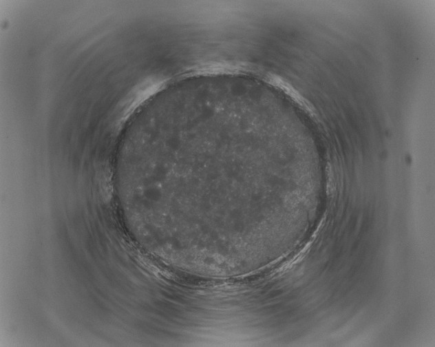 X0000072511213200608041458