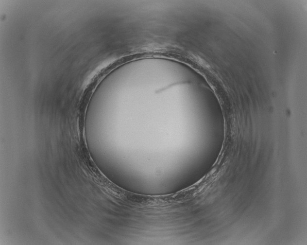 X0000072511214200608041458