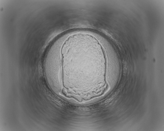 X0000072511215200608041458