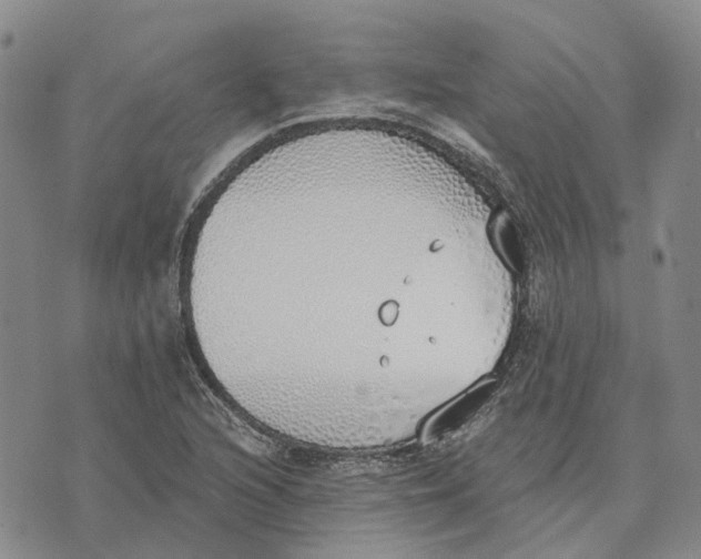 X0000072511216200608041458