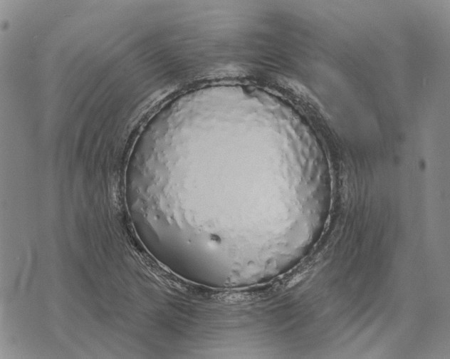 X0000072511217200608041458