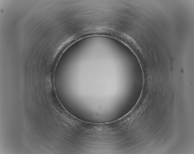 X0000072511218200608041458