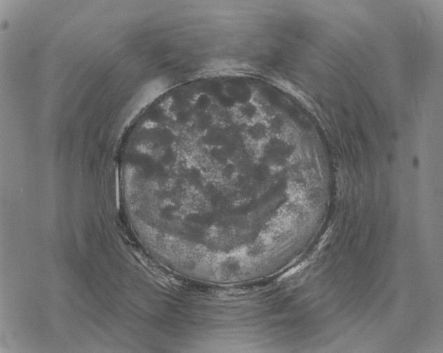 X0000072511219200608041458