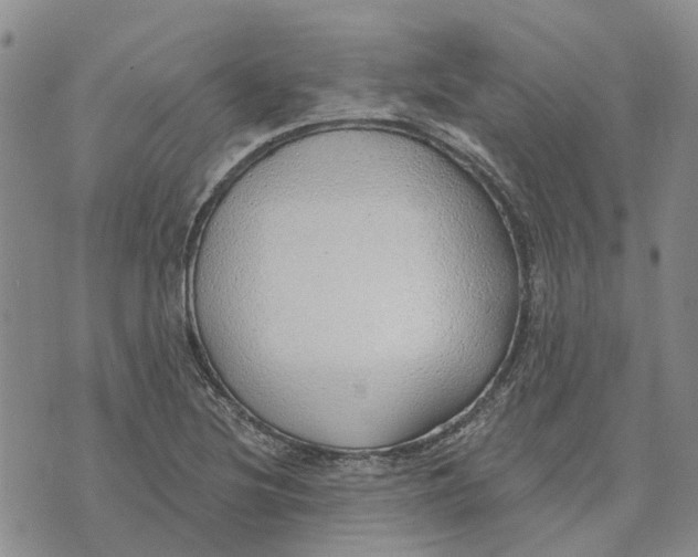 X0000072511220200608041458