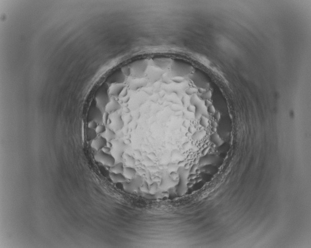 X0000072511221200608041458