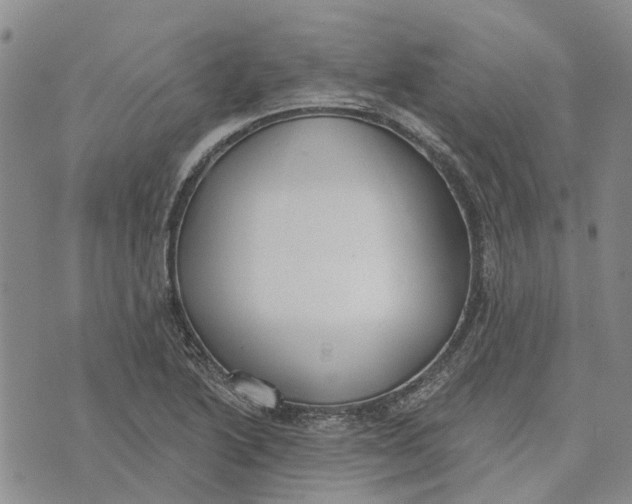 X0000072511222200608041458