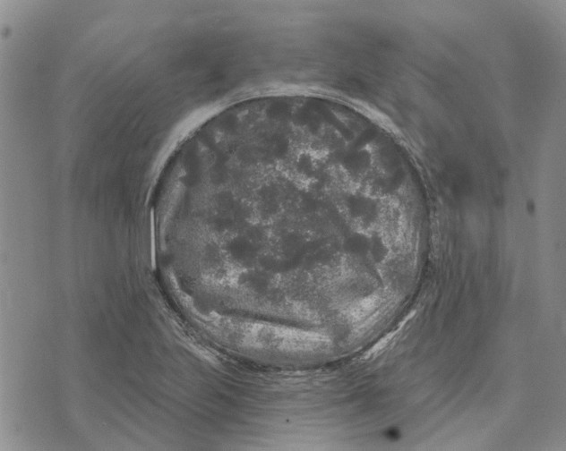 X0000072511223200608041458