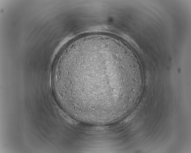 X0000072511224200608041458