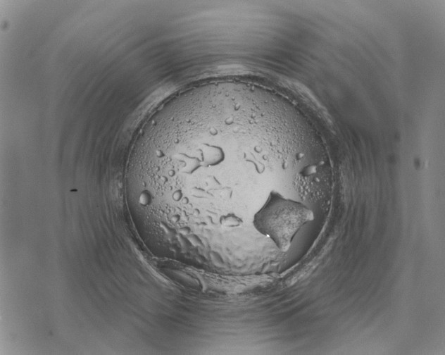 X0000072511225200608041458