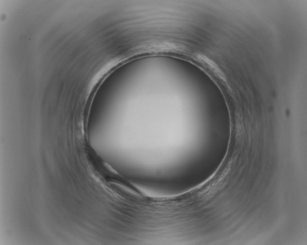 X0000072511226200608041458