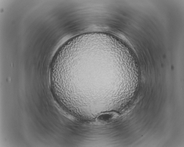 X0000072511227200608041458