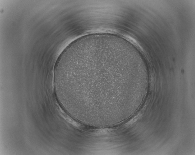 X0000072511228200608041458