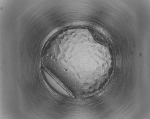 X0000072511229200608041458