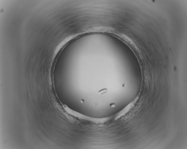 X0000072511230200608041458