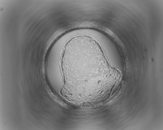 X0000072511232200608041458