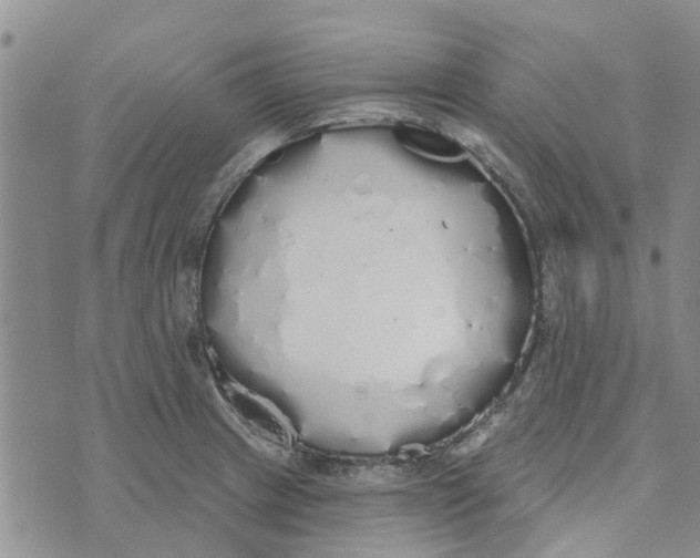 X0000072511233200608041458