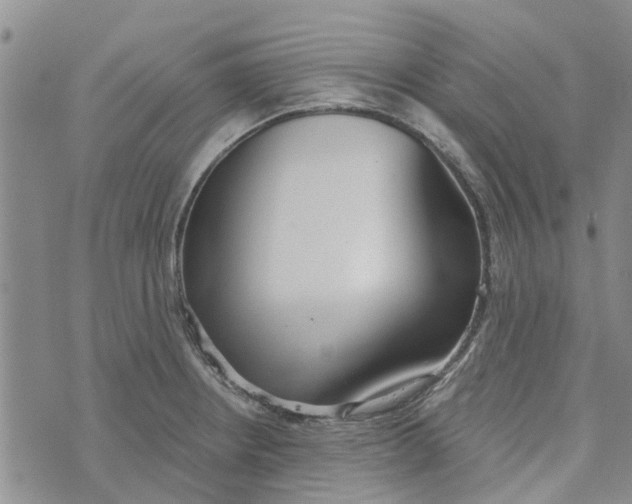 X0000072511234200608041458