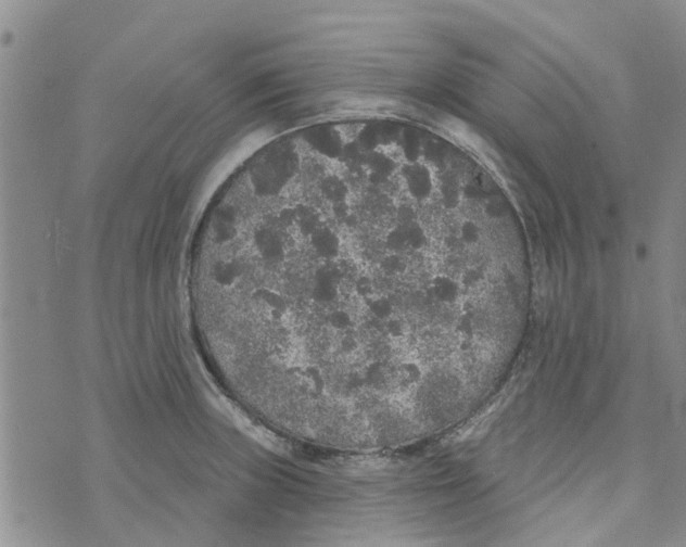 X0000072511235200608041458