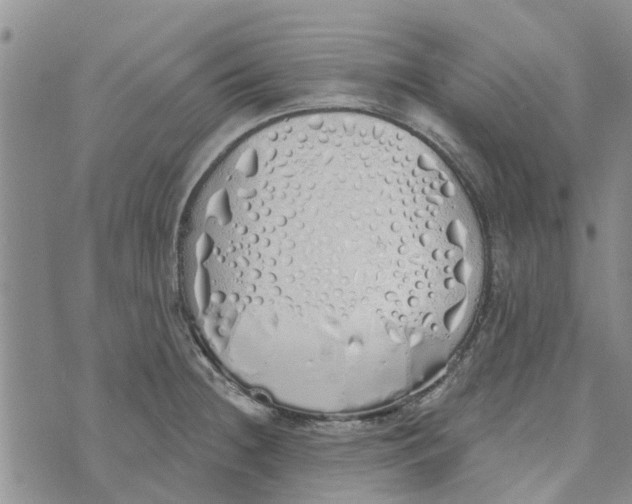 X0000072511236200608041458