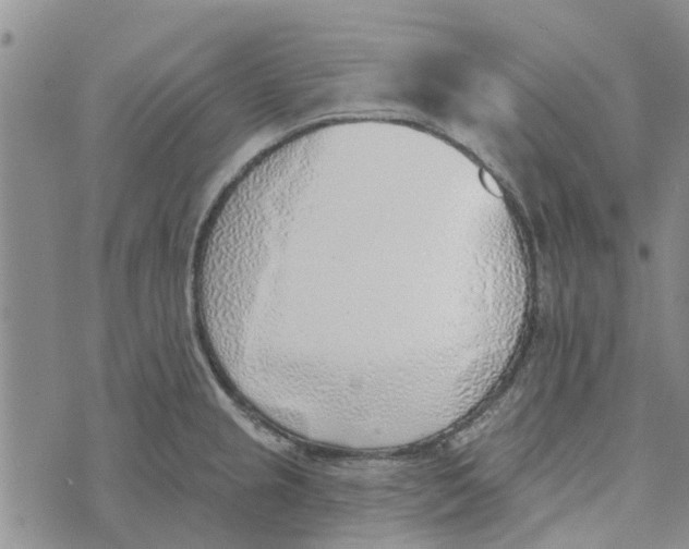 X0000072511237200608041458