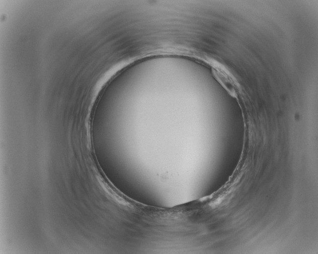 X0000072511238200608041458