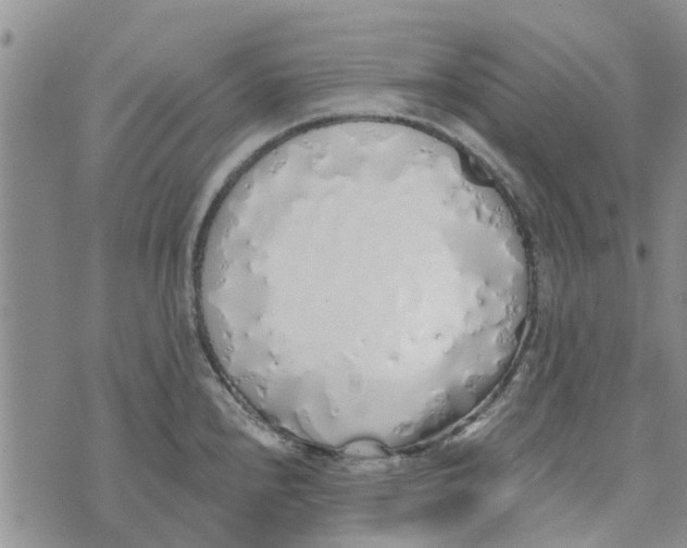 X0000072511240200608041458