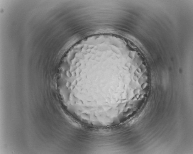 X0000072511241200608041458