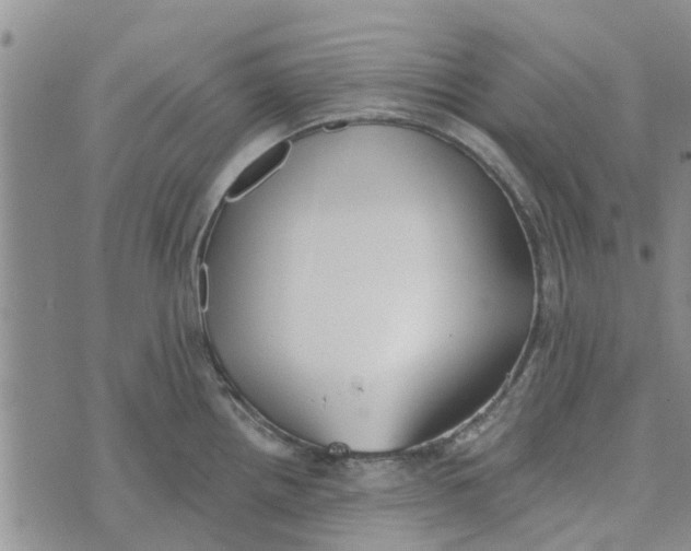 X0000072511242200608041458