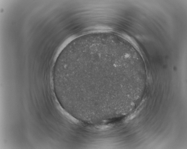 X0000072511243200608041458