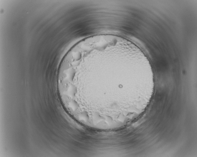 X0000072511244200608041458