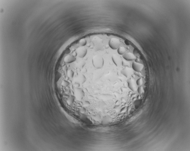 X0000072511245200608041458