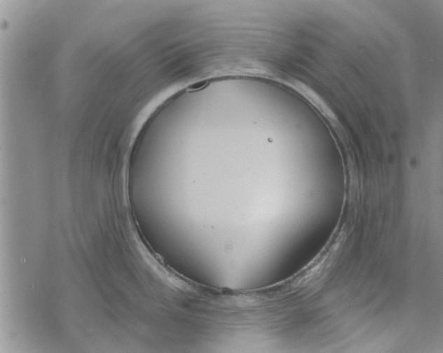 X0000072511246200608041458