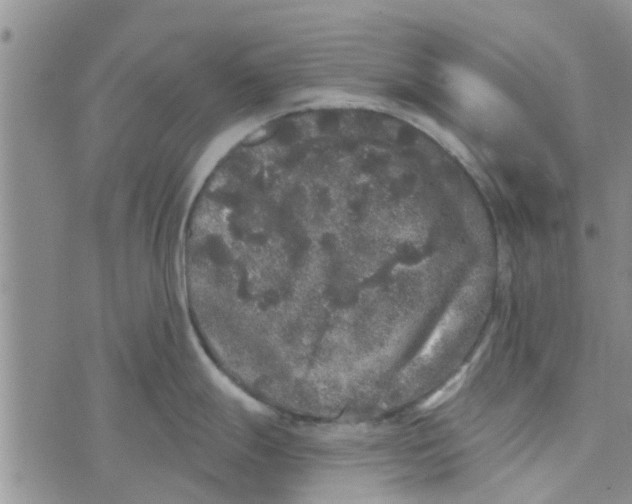 X0000072511247200608041458