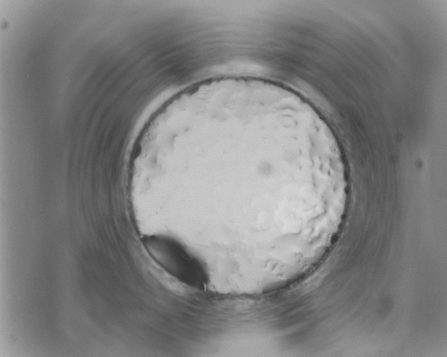 X0000072511248200608041458