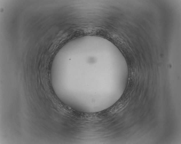 X0000072511249200608041458