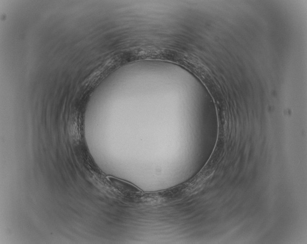 X0000072511250200608041457