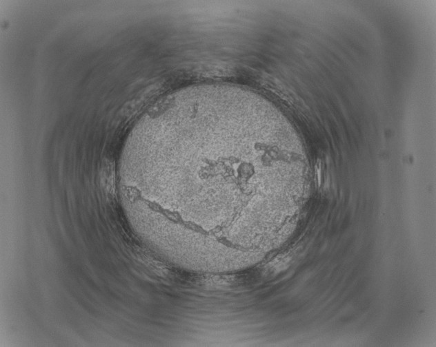 X0000072511251200608041457