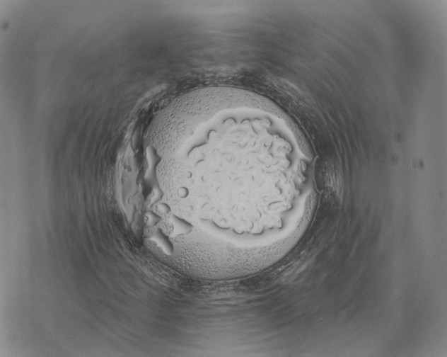 X0000072511252200608041457