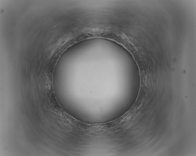 X0000072511253200608041457