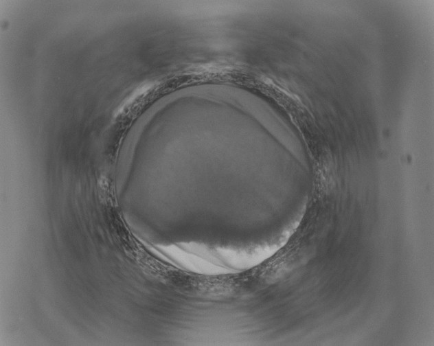 X0000072511254200608041457