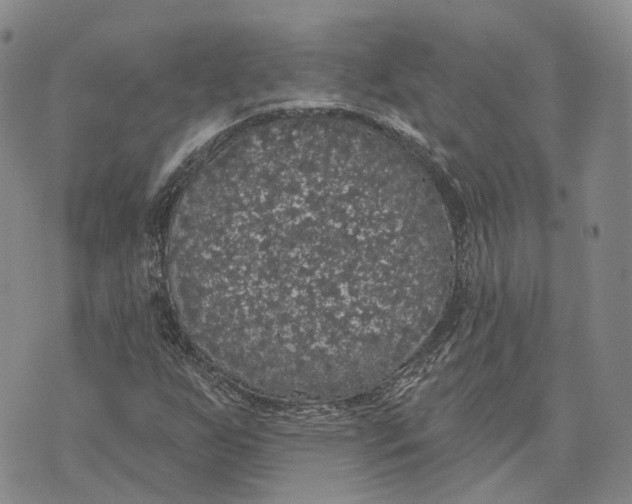 X0000072511255200608041457