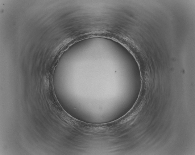 X0000072511257200608041457