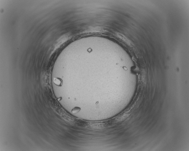 X0000072511258200608041457