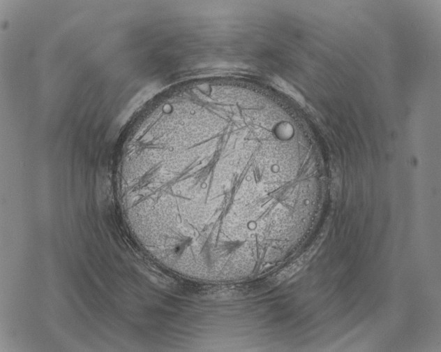 X0000072511259200608041457