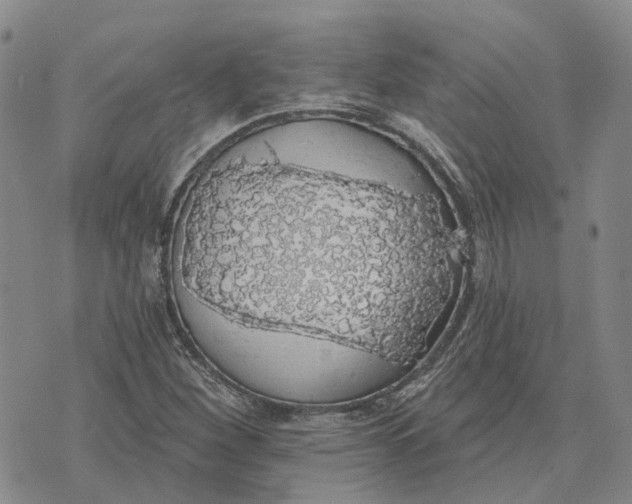 X0000072511260200608041457