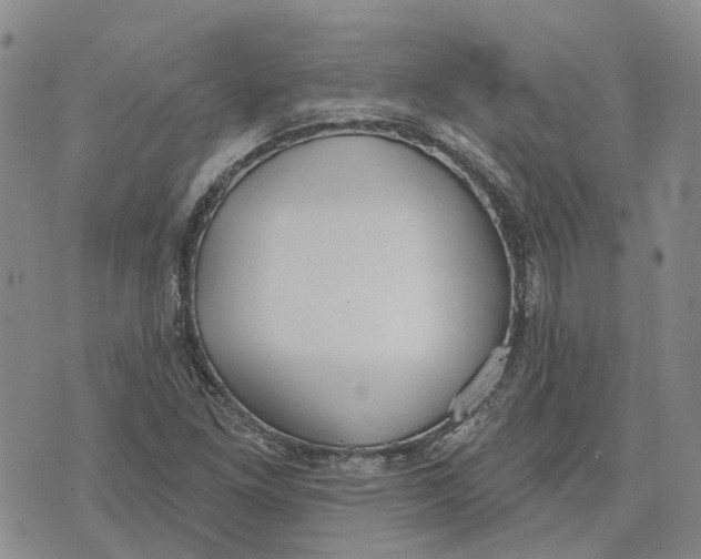 X0000072511261200608041457