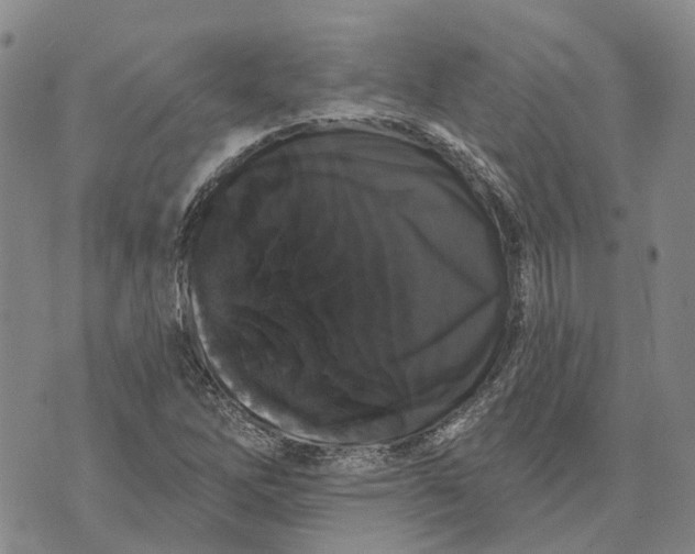 X0000072511262200608041457