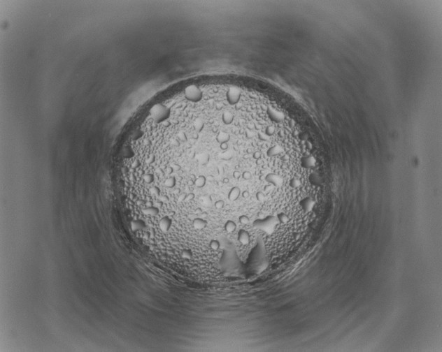 X0000072511263200608041457