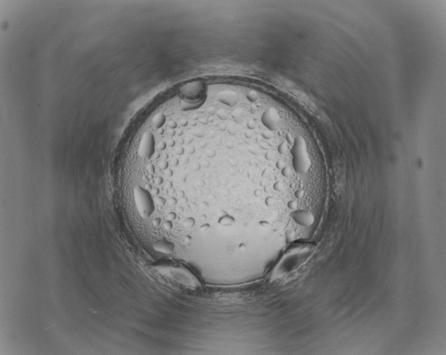 X0000072511264200608041457